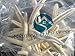 Nautical Beach Decor Extra Large 10 Pack REAL White Finger Starfish Wedding Decor 6-8 inch - Sea Stars (6-8 inch)