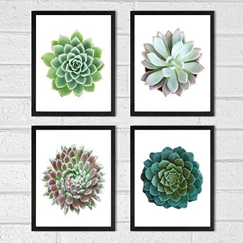 Succulent Wall Art Prints (Set of 4) 8x10 Prints Unframed