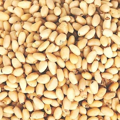 image for Gourmet Nuts And Dried Fruit Pine Nuts - Bulk Pine Nuts 10 Pound Value