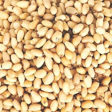 Pine Nuts - Bulk Pine Nuts 25 Pound Value Box - Freshest and highest quality nuts from US Based farmer market - Quality nuts for homes, restaurants, and bakeries.