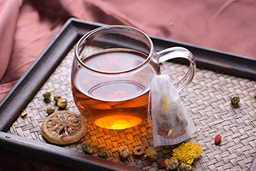 WarmCrystal, Tea and Coffee Filter Bags, Disposable Tea Infuser with Drawstring for Loose Leaf Tea, Safe & Natural Material 100 pack (2.76 3.54)
