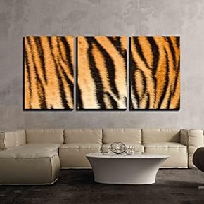 3 Piece Canvas Wall Art - Texture of Real Tiger Skin Fur - Modern Home Art Stretched and Framed Ready to Hang - 16"x24"x3 Panels