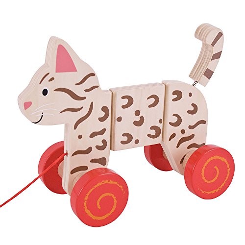 Bigjigs Toys Cat Pull Along