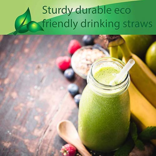 Biodegradable Straw Clear with GreenStrip 7 3/4" Unwrapped 400 Unit Pack, 100% Eco Friendly, Disposable Biodegradable - Image 4