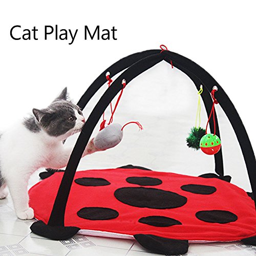 MyfatBOSS Cat Play Mat, Cat Activity Center with Hang Cat Toys Balls
