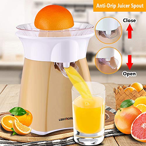 Electric Citrus Juicer with automatic flowing spout Orange squeezer