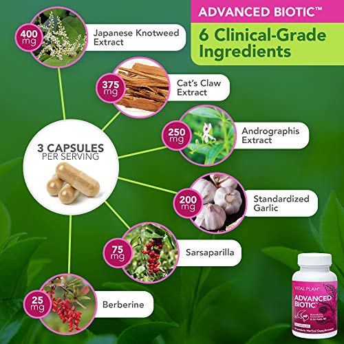 Vital Plan Immune Support Supplements by Dr. Bill Rawls Immune Boost Bundle w/ Japanese