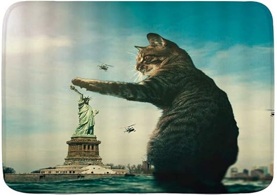 Kcmical Alfombrilla de baño, Gato Animal Divertido Gato acariciando el