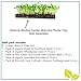 Window Garden Microgreen Assortment 5 Pack Refill – Use with Grow n Serve Kit, Multi-Use 15” x 6” Planter Tray, Pre-Measured Soil + Seed, Zesty Radish, Sunflowers, Pea Shoots, Wheat Grass and Salad.