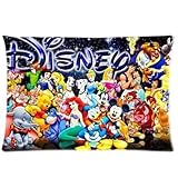 Popular Cartoon Disney Printed Custom Zippered Pillow Cases 20x30 (Two sides) VFR-63