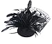 Black Feather Fabric Flower Net Fascinator Hair Clip and Cocktail Hat