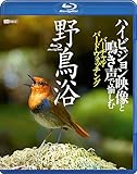 シンフォレストBlu-ray 野鳥浴 ハイビジョン映像と鳴き声で愉しむバーチャル・バードウォッチング