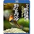 シンフォレストBlu-ray 野鳥浴 ハイビジョン映像と鳴き声で愉しむバーチャル・バードウォッチング