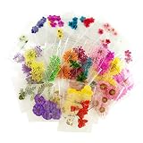 A_Grade Real Flower Dried Flower Assorted Styles Nail Art Dry Flower Spiraea Ammi majus Pressed Flower for Nail Art Decoration (20packs(120pcs))
