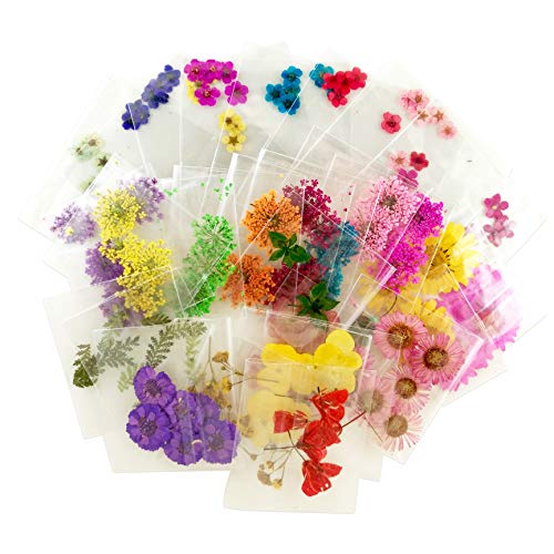 A_Grade Real Flower Dried Flower Assorted Styles Nail Art Dry Flower Spiraea Ammi majus Pressed Flower for Nail Art Decoration (20packs(120pcs))