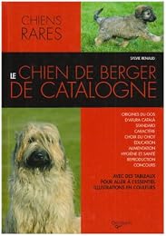 Le  chien de berger de Catalogne
