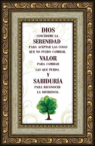 Spanish, Español, Serenity Prayer, Poem, Framed Religious Gift, Plaque, Motivational Encouragement, Peace in Time of Challenge and Difficulty in Twelve-Step Program, (Antique Gold)