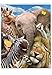 NobleWorks - Hilarious Jumbo Happy Birthday Card with Envelope (8.5 x 11 Inch) - Funny Animal Greeting Card From All Of Us - Here’s Looking At Zoo J6639FBDG-US
