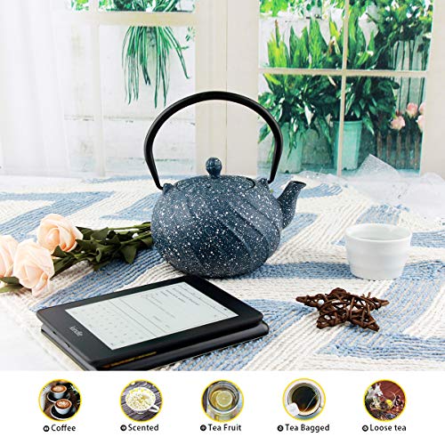 Tea Kettle, Toptier Japanese Cast Iron Teapot with Stainless Steel