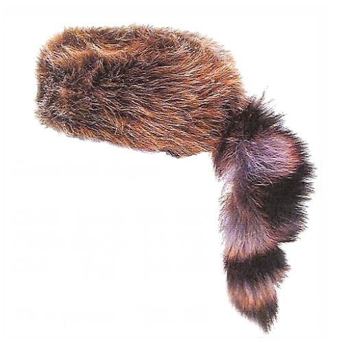 Buy Daniel Boone Coontail Cap Online at 