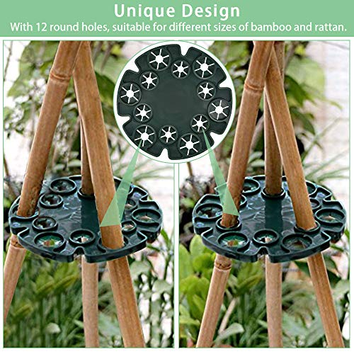 RMENOOR 5 Teilige Pflanzenstütze Staudenhalter Rund Kletterhilfe Pflanzen Plastic Strauchstützen Kletterpflanzenhilfe… – Bild 5