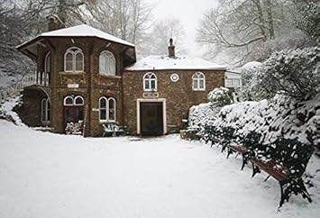Amazon Com Leowefowa 10x8ft Vinyl Winter View St Ann S Well In