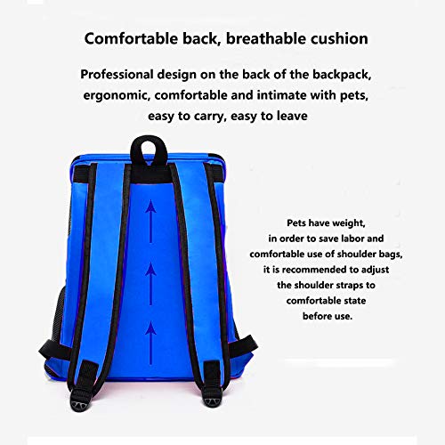 Pet Travel Carrier Backpack for Small Dogs and Cats up to 15lbs, Airline Approved, 4 Big Ventilation Window,Safety Features and Back Cushion Support(Blue)