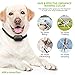 K9KONNECTION Dog Training Collar with Remote Professional Trainer Shock Collar to Control Barking & Tricks Rechargeable Electronic E-Collar for Small to Large Dogs 10 - 120 lbs Beep / Vibrate / Shock