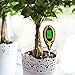 Soil Moisture Meter, Digital 4 in 1 Tester Monitor Measure Soil Moisture, Temperature, PH Value and Sunlight Intensity for Indoor/Outdoor Garden Farm Lawn Flower Plant (4 in 1 soil tester)