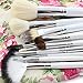 EmaxDesign 12 Piece Professional Makeup Brush Set Goat Hair Wood Handle Foundation Blending Blush Eye Face Liquid Powder Cream Cosmetics Brushes Kits With Rose Pattern Case