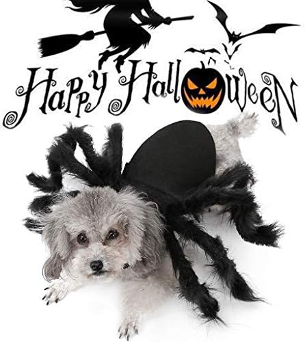 KUKICAT Halloween Costumes Spider Wing Clothes for Puppies Cats Pet Cat Dog Cute Hoodie Dress One Size Jumpsuit (One size, Black)