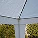 10'x10'Outdoor Canopy Party Wedding Tent Garden Gazebo Pavilion Cater Events (White)