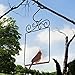 Gray Bunny Premium Hummingbird Swing, Rust Resistant Metal Frame, Wooden Dowel, Humming Bird Perch Feeder Accessory, Birdswing for Outside Outdoors