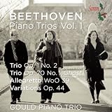 PIANO TRIOS 1 (JEWL)                               image