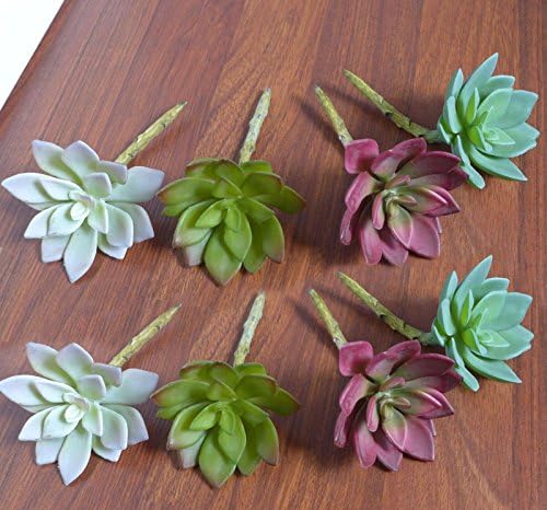 Decoratives Different Small Artificial Plants Green Mini Grass Lotus Flowers Mix Miniature Succulents Fake Plastic Landscape Table Desk Kitchen Garden Indoor Outside Home Decor Lifelike Plant
