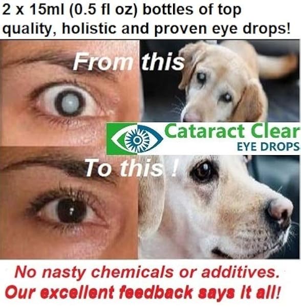 best dog eye drops for cataracts