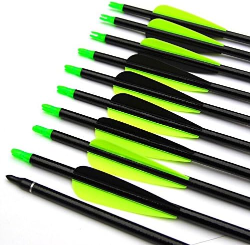 Liufen Carbon Arrows 30-Inch Fletching 2.5'' Target Practice Archery Arrows for Recurve or Compound Bow(12 Pack)