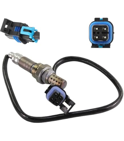 亀です 丸眼鏡 SUNGLASS for JAPANESE（ROUNDラウンドサングラスfor