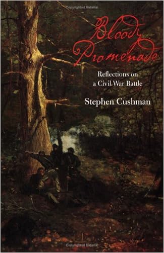 Bloody Promenade Reflections On A Civil War Battle The - 