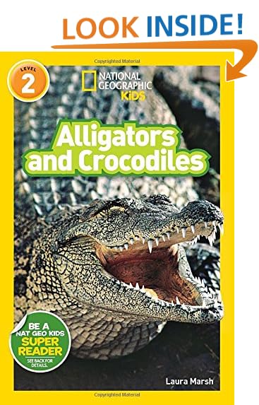 Alligators And Crocodiles Amazon Com