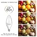 SHINE HAI Candelabra LED Bulbs 40W Equivalent,3000K Warm White Decorative Candle Light Bulb E12 Base, Non-Dimmable Chandelier B11 LED Light Bulbs, Pack of 12