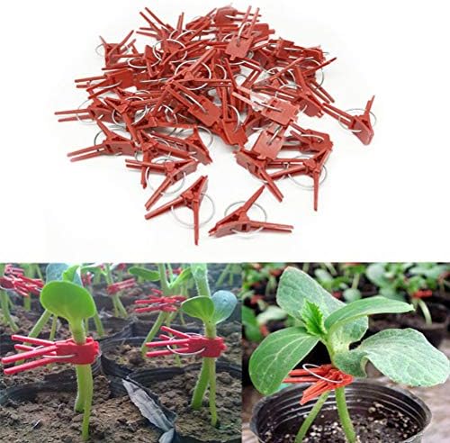 Creacom 植物クリップ 園芸クリップ 植物サポート 植物ホルダー 使いやすい Diyアセンブリ 誘引作業 花支え ガーデニング 支柱棚 植物固定 当店一番人気 フラワースタンド 園芸用具 100pcs フラワー支柱