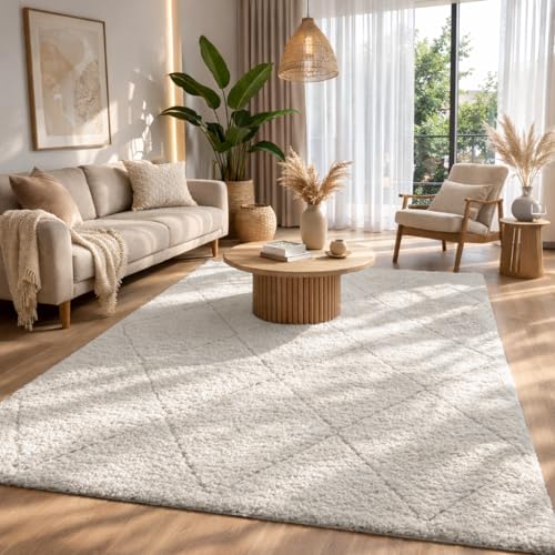 the carpet Bahar Shaggy – Weicher Hochflor Teppich, moderner Flauschiger & kuscheliger Wohnzimmer Teppich, eleganter Designer Shaggy, pflegeleicht und