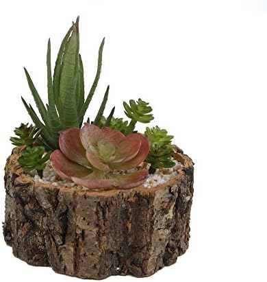 Faux Succulent Arrangement in Rocky Field Tree Trunk