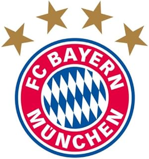 Fc Bayern Fan Teppich Logo Ovp Fussball Fcb Amazon De Kuche