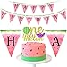 Watermelon 1st Birthday Decorations - One in a Melon Cake Topper Watermelon Happy Birthday Banner