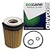 ECOGARD X10259 Oil Filter