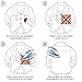 Budicool Flowers Butterfly Iron on Patches Embroidery Applique Patches for Clothes Jeans (Pack of 16 Pieces)