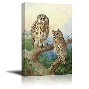Beautifully Drawn Owls Resting on a Tree Branch - Canvas Art Home Art - 12x18 inches
