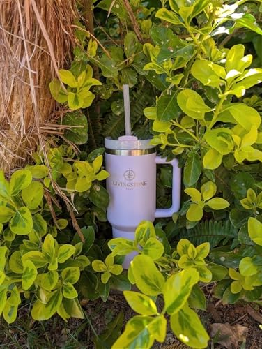 Livingstone1855 1.2 L Thermal Cup, Keeps 24 Hours Cold / 12 Hours Hot, 304 Stainless Steel Thermos Flask with Handle and Straw, Leakproof, Large Reusable Thermal Cup, BPA Free, Ideal for Gym, Office